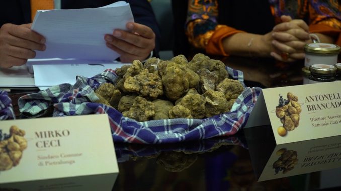 A Pietralunga edizione ‘Straordinaria’ della mostra mercato del tartufo