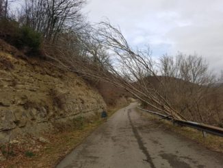 Maltempo, Lega, urgente pulizia e manutenzione lungo la Sp 105 