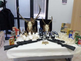 Sparavano dal fuoristrada la selvaggina, presi due flagranza di reato