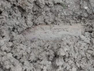 Ordigno bellico a Bocca Trabaria sulla strada 73 bis