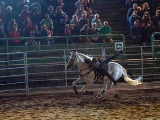Amor Cortese, mille spettatori alla prima rappresentazione del gala equestre