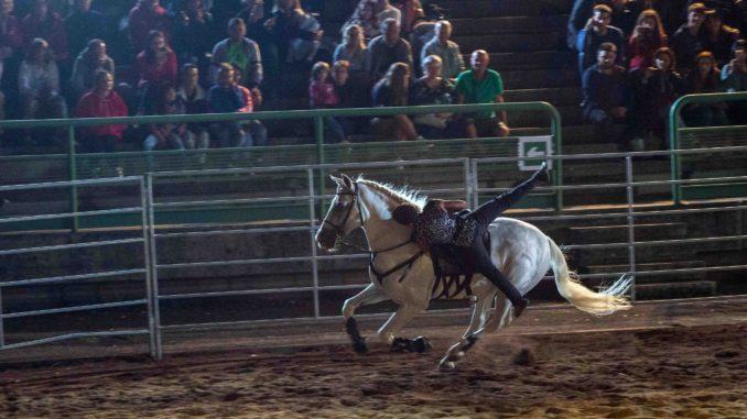 Amor Cortese, mille spettatori alla prima rappresentazione del gala equestre