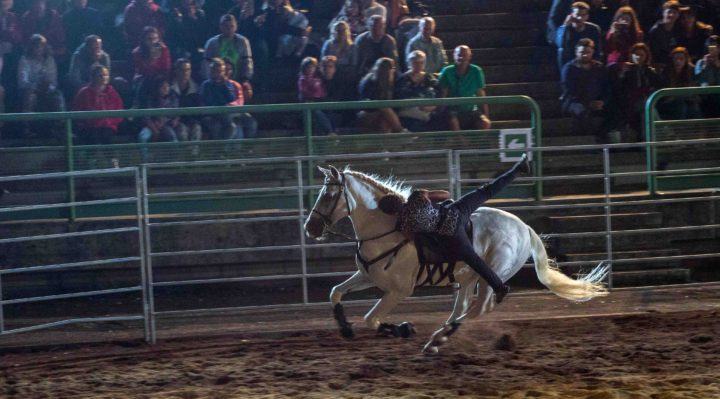 Amor Cortese, mille spettatori alla prima rappresentazione del gala equestre
