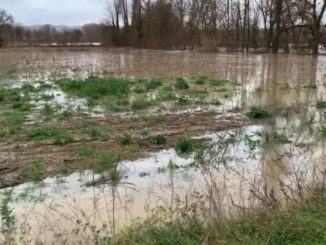 Straripa il Fiume Tevere tra Calzolaro e Trestina, primi danni