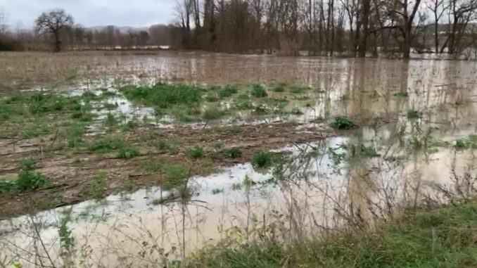 Straripa il Fiume Tevere tra Calzolaro e Trestina, primi danni