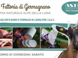 Alla bottega del cinema Astra tornano i prodotti della Fattoria di Germagnano