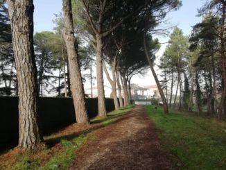 Dalla Regione Umbria 181mila euro per la Pineta e del Parco Ranieri