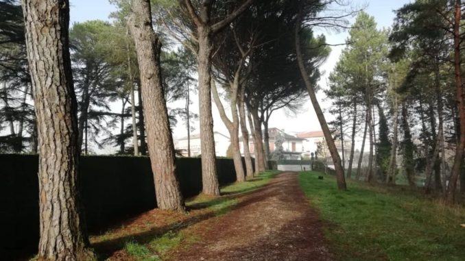 Dalla Regione Umbria 181mila euro per la Pineta e del Parco Ranieri