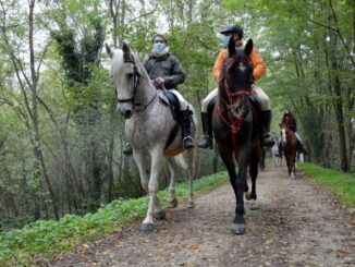 Mostra Nazionale del Cavallo, 4 e 5 settembre a Città di Castello