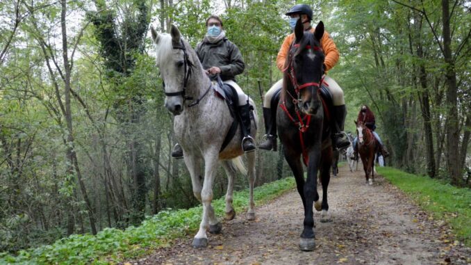 Mostra Nazionale del Cavallo, 4 e 5 settembre a Città di Castello