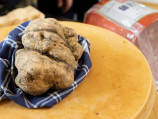 A Città di Castello ritorno della Mostra mercato nazionale del tartufo bianco