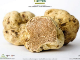 Fine settimana con la 41° Mostra Nazionale del Tartufo Bianco
