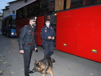Batman e Cita, i cani dell'Arma e i Carabinieri al controllo del Tifernate