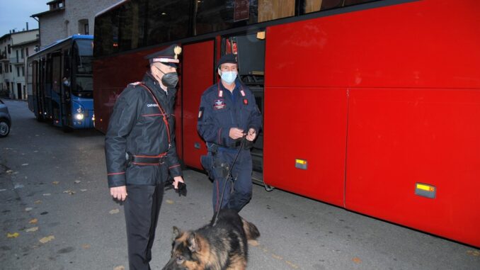 Batman e Cita, i cani dell'Arma e i Carabinieri al controllo del Tifernate