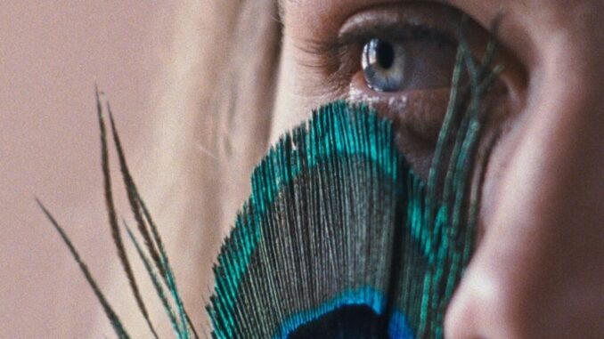 Fuori Festival, 25 anni di Umbria Film Festival. Eventi, concerti e proiezioni tra settembre e novembre 2021 in tour in Umbria