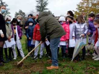Giornata nazionale festa albero scuola primaria La Tina donazione piantine