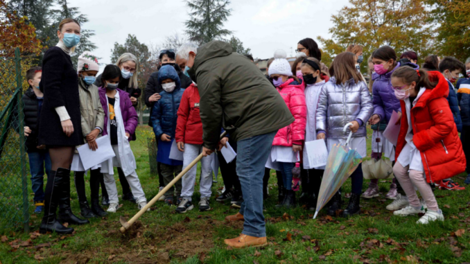 Giornata nazionale festa albero scuola primaria La Tina donazione piantine