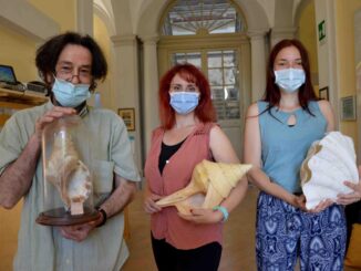 Malakos importante convegno specie conchiglie rarissime mai effettuati