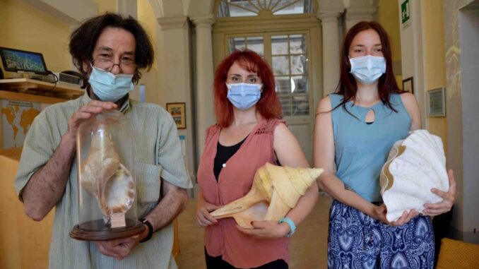 Malakos importante convegno specie conchiglie rarissime mai effettuati