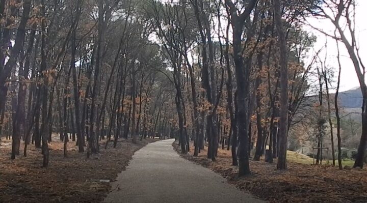 Umbertide, Pineta Ranieri, procedono lavori di riqualificazione, ma anche i lavori previsti per il Bosco del Macchione