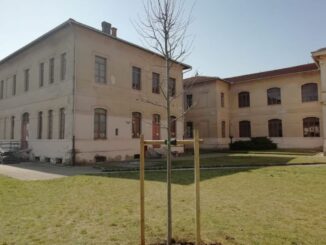 Due umbertidesi regalano nuovi tigli per il parco della scuola Garibaldi