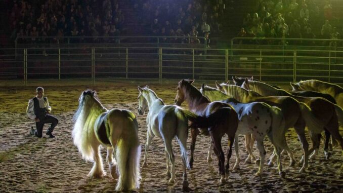 Due serate da sogno con il gala equestre della Mostra del Cavallo
