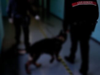 Smantellato gruppo di spacciatori violenti, smerciavano cocaina e crack