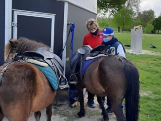 Storia della piccola pony e di un bimbo, Bibi è l'amica a 4 zampe