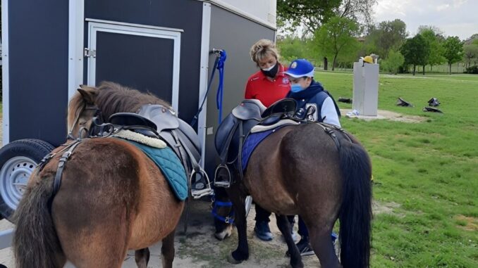 Storia della piccola pony e di un bimbo, Bibi è l'amica a 4 zampe