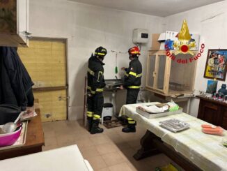 Comitato Rinascita post sisma Umbertide: Solidarietà e Impegno