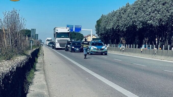 Resta in panne ferita su E45, ha investito animale selvatico