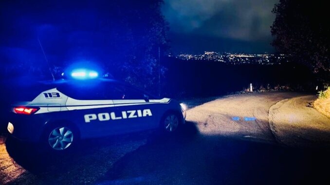 Intervento della polizia per la rimozione di un animale selvatico dalla strada