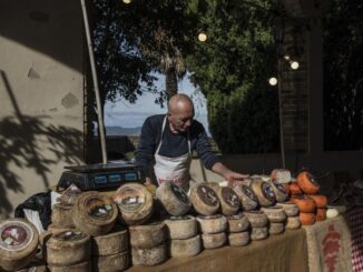 Montone si prepara per la 39ª edizione della Festa del Bosco