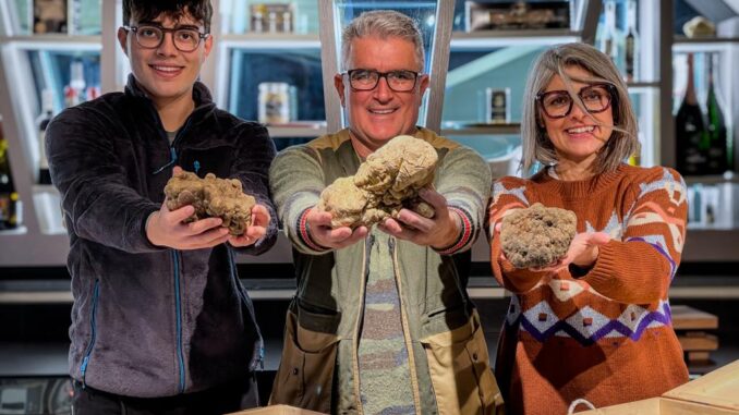 Scoperto maxi-tartufo da 1kg e 100, record a Pietralunga
