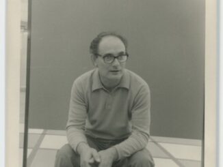 Nuvolo. Genesi della pittura di serigrafia