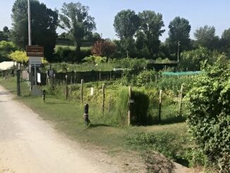Presentazione della nuova gestione degli “Orti sociali”