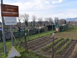 Orti “solidali”: al via un innovativo progetto di agricoltura sociale