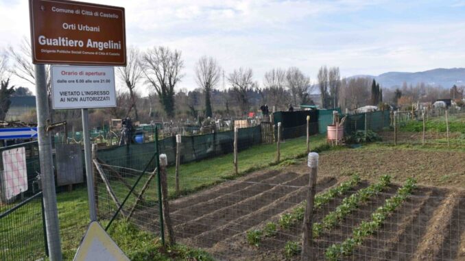 Orti “solidali”: al via un innovativo progetto di agricoltura sociale