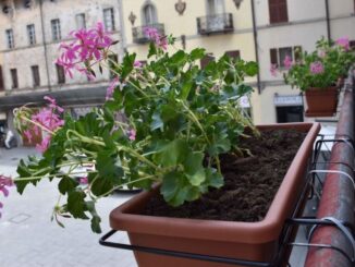 Un weekend di colori e profumi a Città di Castello