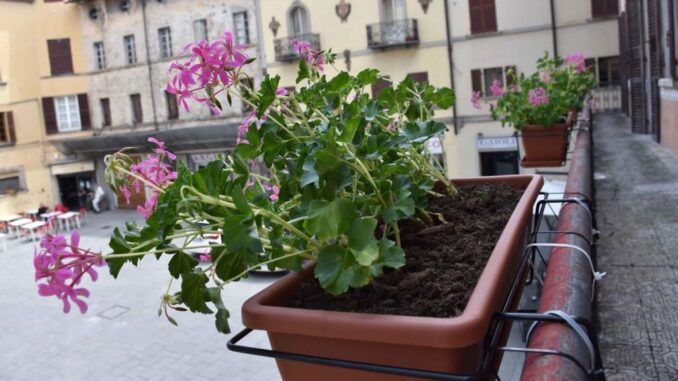 Un weekend di colori e profumi a Città di Castello