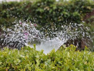 Ordinanza n. 202: Divieto di usi impropri dell'acqua potabile