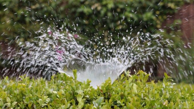Ordinanza n. 202: Divieto di usi impropri dell'acqua potabile