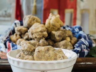Città di Castello si prepara al 44° Salone del Tartufo Bianco