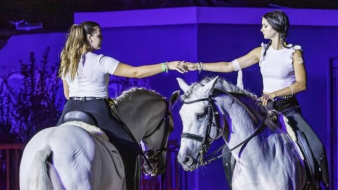 Inclusione e Tradizioni Equestri: 54ª Mostra Nazionale Cavallo
