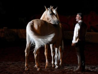 La Mostra Nazionale del Cavallo torna protagonista a Città di Castello