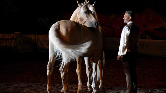 La Mostra Nazionale del Cavallo torna protagonista a Città di Castello