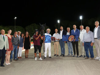 Cavalli e territorio: l'ippodromo di Cesena si apre sull'altotevere