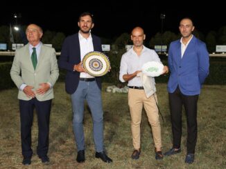 La storia del connubio fra Cesena, Città di Castello e la Mostra Nazionale del Cavallo