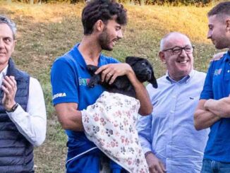 Achille, labrador futuro assistente per una bambina con disabilità