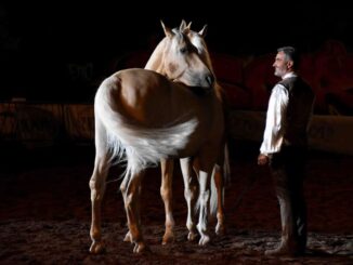 Mostra Nazionale Cavallo: Gala e Tradizioni a Città di Castello